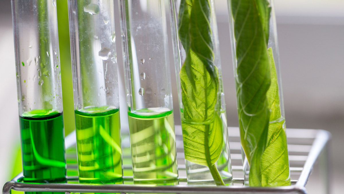 A Greener Bottle on Trial: PEF Faces Two-Year Test